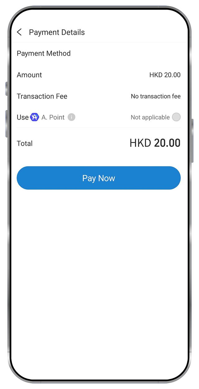 3. Press Pay Now to authorize payment